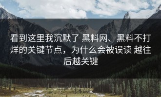 看到这里我沉默了 黑料网、黑料不打烊的关键节点，为什么会被误读 越往后越关键