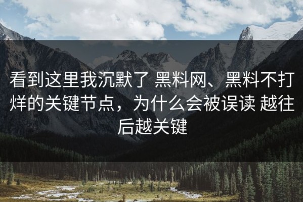 看到这里我沉默了 黑料网、黑料不打烊的关键节点，为什么会被误读 越往后越关键