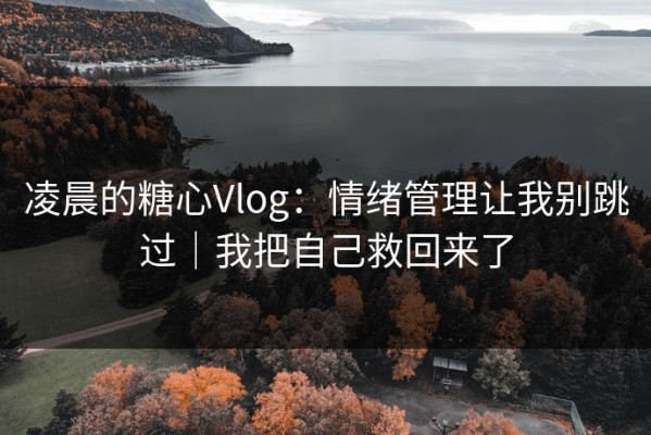 凌晨的糖心Vlog：情绪管理让我别跳过｜我把自己救回来了