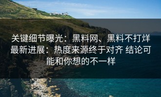 关键细节曝光：黑料网、黑料不打烊最新进展：热度来源终于对齐 结论可能和你想的不一样
