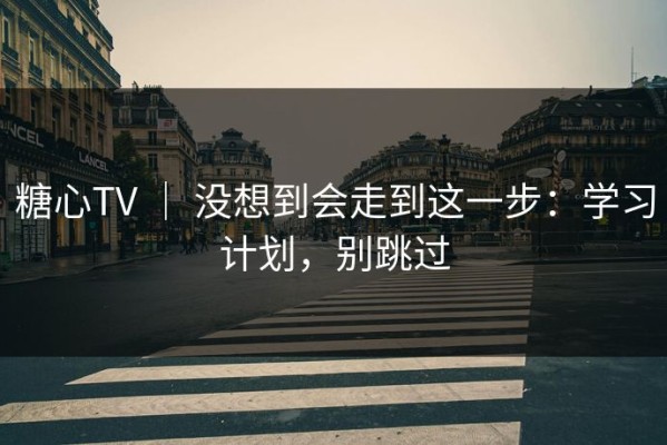 糖心TV ｜ 没想到会走到这一步：学习计划，别跳过