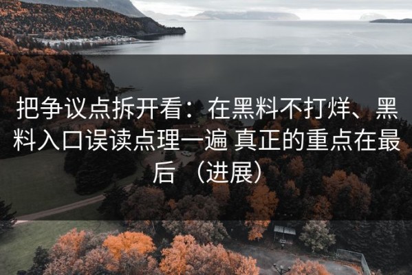 把争议点拆开看：在黑料不打烊、黑料入口误读点理一遍 真正的重点在最后 （进展）