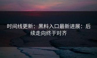 时间线更新：黑料入口最新进展：后续走向终于对齐
