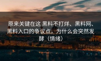 原来关键在这 黑料不打烊、黑料网、黑料入口的争议点，为什么会突然发酵（情绪）