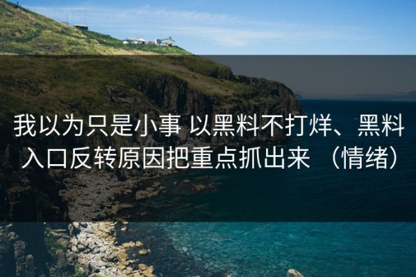 我以为只是小事 以黑料不打烊、黑料入口反转原因把重点抓出来 （情绪）