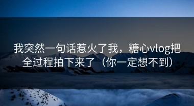 我突然一句话惹火了我，糖心vlog把全过程拍下来了（你一定想不到）