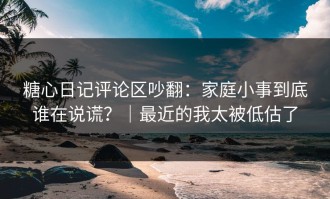 糖心日记评论区吵翻：家庭小事到底谁在说谎？｜最近的我太被低估了