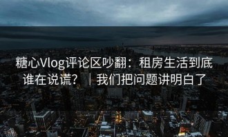 糖心Vlog评论区吵翻：租房生活到底谁在说谎？｜我们把问题讲明白了