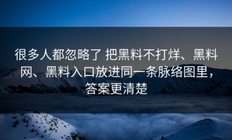 很多人都忽略了 把黑料不打烊、黑料网、黑料入口放进同一条脉络图里，答案更清楚