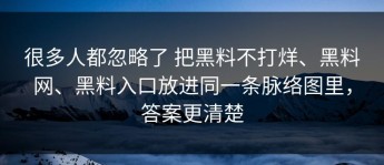 很多人都忽略了 把黑料不打烊、黑料网、黑料入口放进同一条脉络图里，答案更清楚