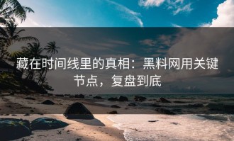 藏在时间线里的真相：黑料网用关键节点，复盘到底