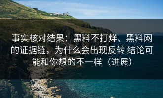 事实核对结果：黑料不打烊、黑料网的证据链，为什么会出现反转 结论可能和你想的不一样（进展）