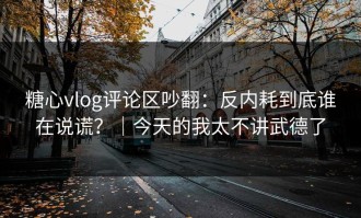 糖心vlog评论区吵翻：反内耗到底谁在说谎？｜今天的我太不讲武德了