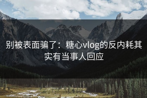 别被表面骗了：糖心vlog的反内耗其实有当事人回应
