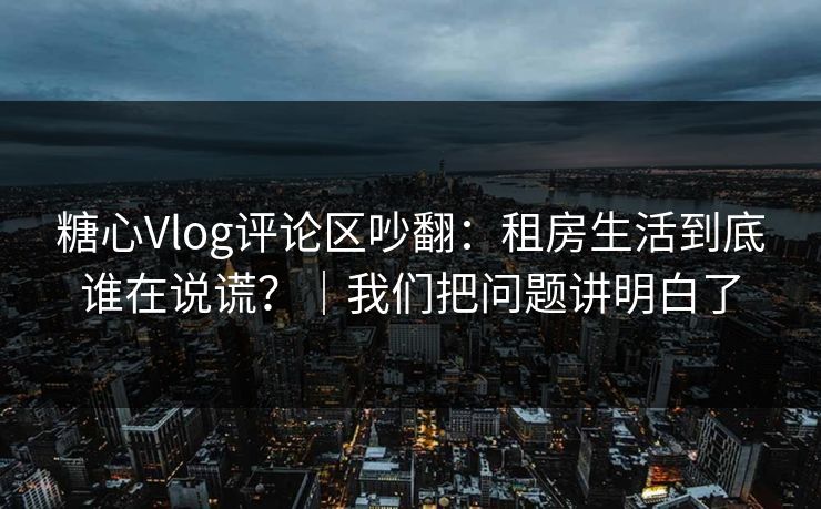 糖心Vlog评论区吵翻：租房生活到底谁在说谎？｜我们把问题讲明白了