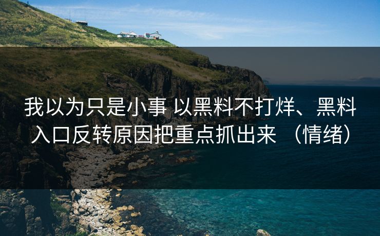 我以为只是小事 以黑料不打烊、黑料入口反转原因把重点抓出来 （情绪）