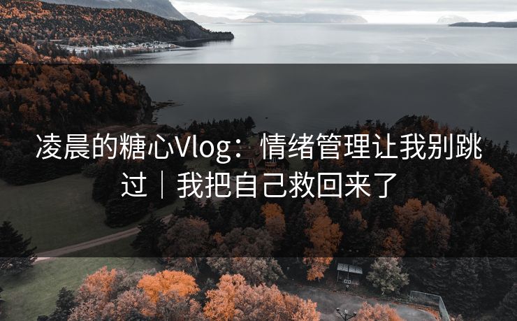 凌晨的糖心Vlog：情绪管理让我别跳过｜我把自己救回来了