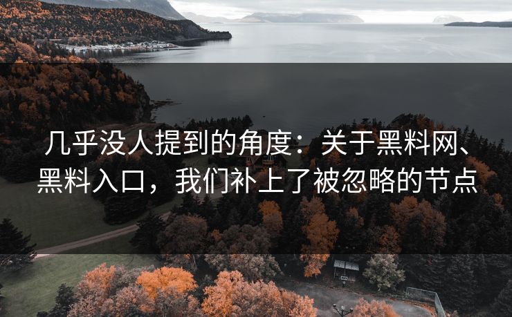 几乎没人提到的角度：关于黑料网、黑料入口，我们补上了被忽略的节点