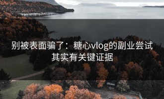 别被表面骗了：糖心vlog的副业尝试其实有关键证据