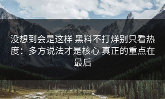 没想到会是这样 黑料不打烊别只看热度：多方说法才是核心 真正的重点在最后