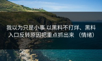 我以为只是小事 以黑料不打烊、黑料入口反转原因把重点抓出来 （情绪）