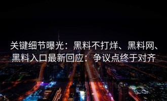关键细节曝光：黑料不打烊、黑料网、黑料入口最新回应：争议点终于对齐