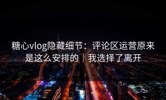 糖心vlog隐藏细节：评论区运营原来是这么安排的｜我选择了离开