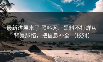 最新进展来了 黑料网、黑料不打烊从背景脉络，把信息补全 （核对）