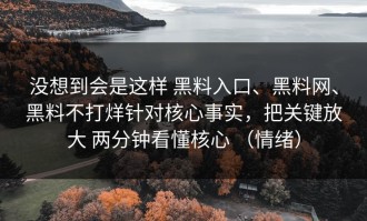 没想到会是这样 黑料入口、黑料网、黑料不打烊针对核心事实，把关键放大 两分钟看懂核心 （情绪）