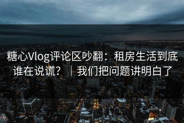 糖心Vlog评论区吵翻：租房生活到底谁在说谎？｜我们把问题讲明白了