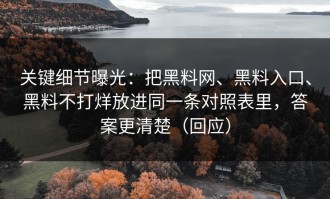 关键细节曝光：把黑料网、黑料入口、黑料不打烊放进同一条对照表里，答案更清楚（回应）