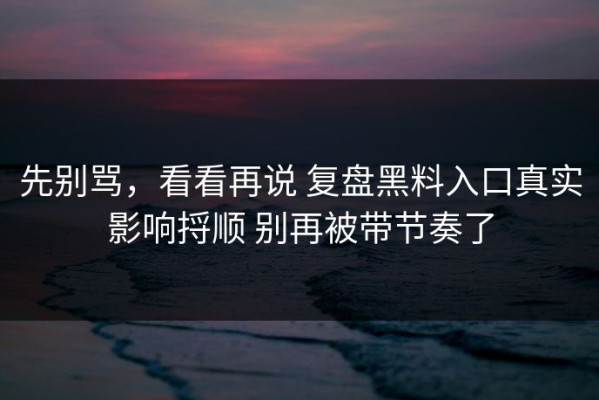 先别骂，看看再说 复盘黑料入口真实影响捋顺 别再被带节奏了