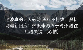 这波真的让人破防 黑料不打烊、黑料网最新回应：热度来源终于对齐 越往后越关键 （心情）