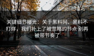 关键细节曝光：关于黑料网、黑料不打烊，我们补上了被忽略的节点 别再被带节奏了
