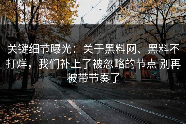关键细节曝光：关于黑料网、黑料不打烊，我们补上了被忽略的节点 别再被带节奏了