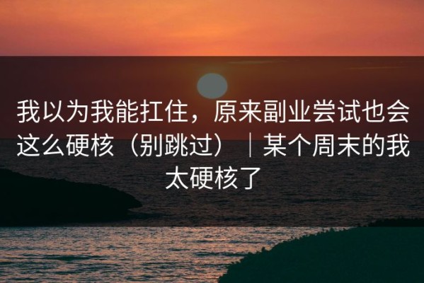 我以为我能扛住，原来副业尝试也会这么硬核（别跳过）｜某个周末的我太硬核了