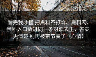 看完我才懂 把黑料不打烊、黑料网、黑料入口放进同一条对照表里，答案更清楚 别再被带节奏了（心情）