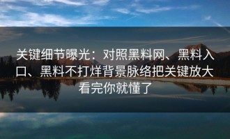 关键细节曝光：对照黑料网、黑料入口、黑料不打烊背景脉络把关键放大 看完你就懂了