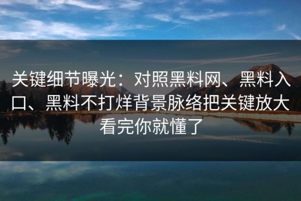 关键细节曝光：对照黑料网、黑料入口、黑料不打烊背景脉络把关键放大 看完你就懂了