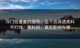 冷门但重要的细节：五个点讲透黑料不打烊、黑料网：真实影响在哪
