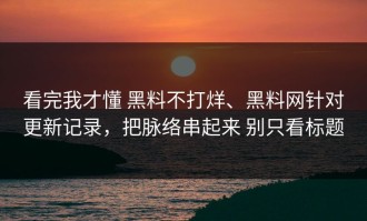 看完我才懂 黑料不打烊、黑料网针对更新记录，把脉络串起来 别只看标题