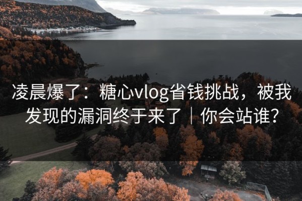 凌晨爆了：糖心vlog省钱挑战，被我发现的漏洞终于来了｜你会站谁？