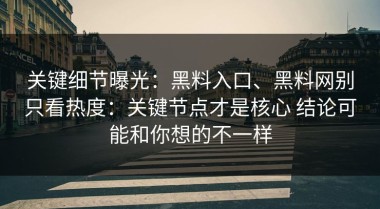 关键细节曝光：黑料入口、黑料网别只看热度：关键节点才是核心 结论可能和你想的不一样