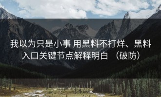 我以为只是小事 用黑料不打烊、黑料入口关键节点解释明白 （破防）