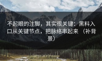 不起眼的注脚，其实很关键：黑料入口从关键节点，把脉络串起来 （补背景）