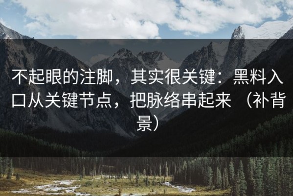 不起眼的注脚，其实很关键：黑料入口从关键节点，把脉络串起来 （补背景）