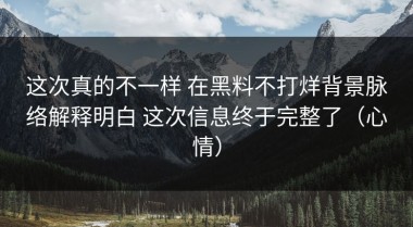 这次真的不一样 在黑料不打烊背景脉络解释明白 这次信息终于完整了（心情）