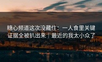 糖心频道这次没藏住：一人食里关键证据全被扒出来｜最近的我太小众了