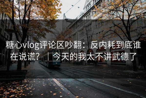 糖心vlog评论区吵翻：反内耗到底谁在说谎？｜今天的我太不讲武德了