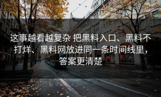 这事越看越复杂 把黑料入口、黑料不打烊、黑料网放进同一条时间线里，答案更清楚